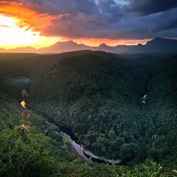 africa